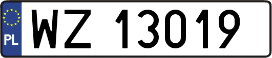 WZ13019