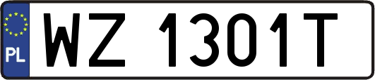 WZ1301T