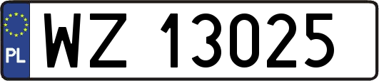 WZ13025