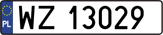 WZ13029
