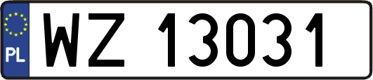 WZ13031