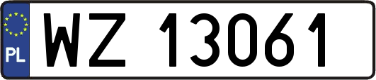 WZ13061
