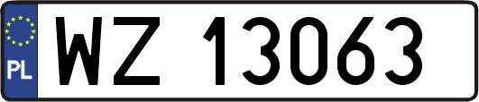 WZ13063