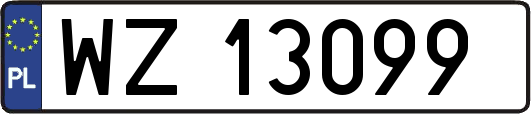 WZ13099