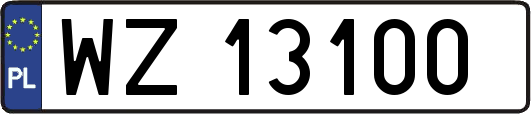 WZ13100