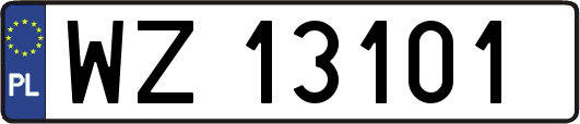 WZ13101
