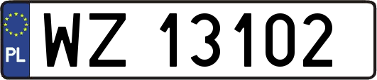 WZ13102