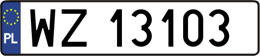 WZ13103