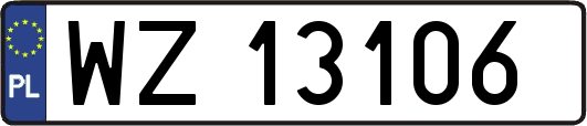 WZ13106