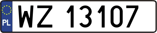 WZ13107