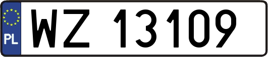 WZ13109