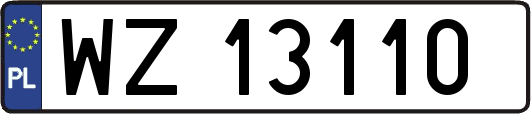 WZ13110