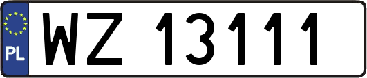 WZ13111