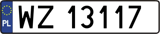 WZ13117