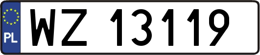 WZ13119
