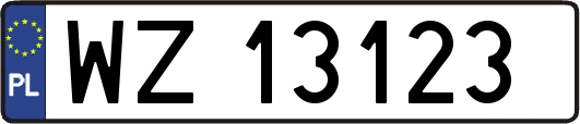 WZ13123