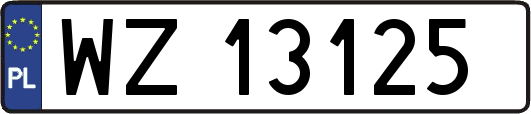 WZ13125