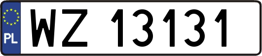 WZ13131