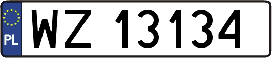 WZ13134