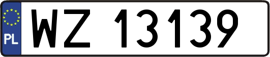WZ13139