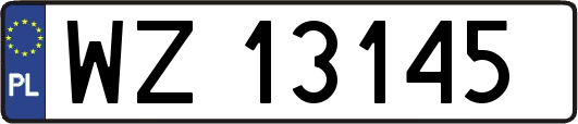 WZ13145