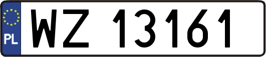 WZ13161