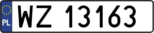 WZ13163