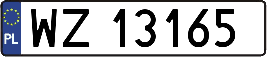 WZ13165