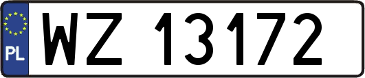 WZ13172