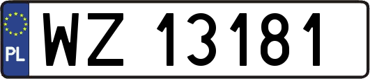 WZ13181