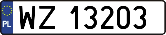 WZ13203