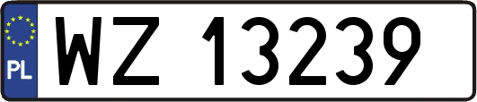 WZ13239