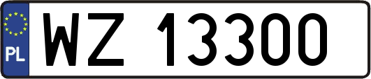 WZ13300