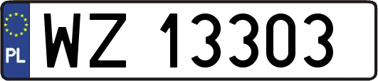 WZ13303