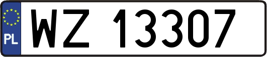 WZ13307
