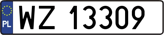 WZ13309