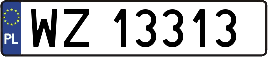 WZ13313