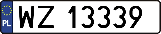 WZ13339