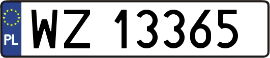 WZ13365