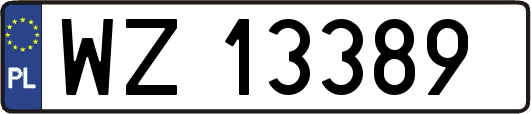 WZ13389