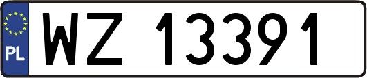WZ13391