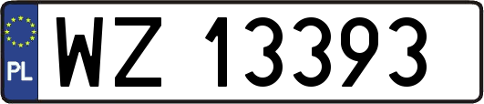 WZ13393
