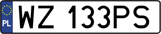 WZ133PS