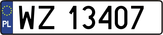 WZ13407