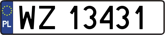 WZ13431