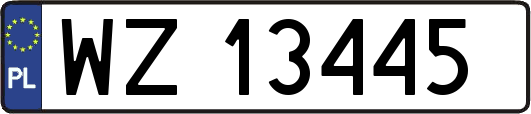 WZ13445