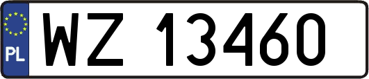 WZ13460
