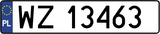WZ13463