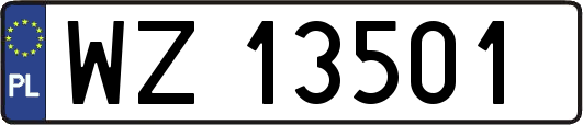 WZ13501