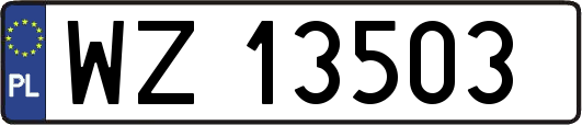 WZ13503